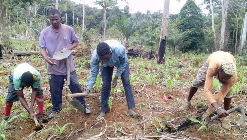 Sustainable Development